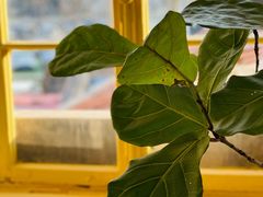 -春风十里咖啡馆