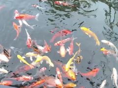 -太子园林酒家