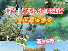 -趵突泉景区