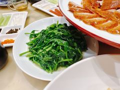 清炒豌豆尖-范家小馆·烤鸭新京菜(金融街店)