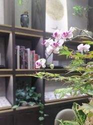 -御珠宫坊(壹海城ONEMALL店)