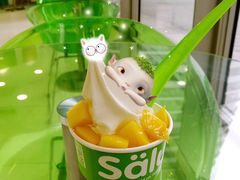 -Salud撒露欧洲冻酸奶(蓝色港湾店)