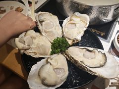 -蚝大仙横琴生蚝火锅(日月贝店)