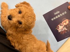 -萌兽医馆·犬猫专科·眼科中心·宠物医院(朝阳门分院)