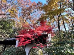 -南京东郊国宾馆