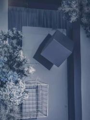 -喜临门婚宴广场·宴会厅