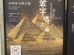 -上海博物馆(人民广场馆)