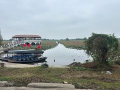 -洪湖生态旅游区