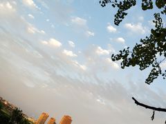 -时光码头民谣公社