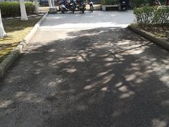 -金陵图书馆
