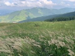 -灵山