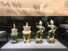 -四川大学博物馆