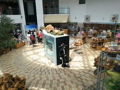 -济州岛泰迪熊博物馆