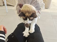 -怪兽屋·羊驼·猫咖·狗咖(俊华广场店)