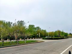 -长白岛森林公园