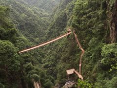 -旗山国家森林公园