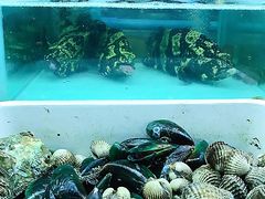 -班赞海鲜市场