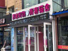 -青奢宠物·青奢猫舍