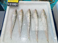 -莆鑫海鲜城(浏河店)