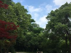 -新江湾城公园