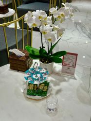 -深圳艺星医疗美容医院