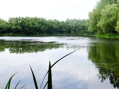 -昆山城市生态森林公园