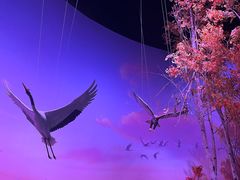 -中国湿地博物馆