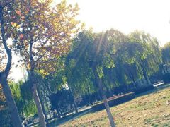 android_upload_pic-石刻园