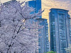 -西北湖绿化广场