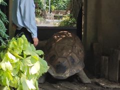 -广州长隆飞鸟乐园