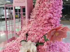 -黄浦路(地铁站)