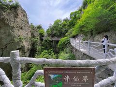 -老君山风景名胜区