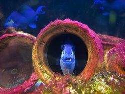 -Zoolung Zoolung动物主题公园(海信广场店)