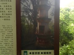 -芦苞胥江祖庙