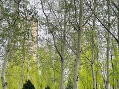 -森林公园(尖草坪区)