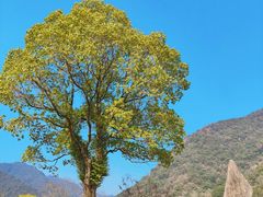 -黄公望隐居地