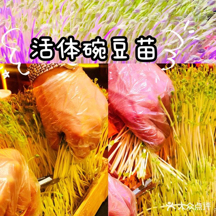  四川火锅｜深圳首家夜店风麻辣火锅