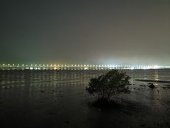 -宝安西湾红树林湿地公园