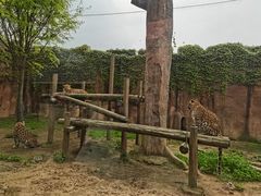 -杭州野生动物世界