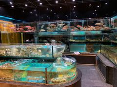 水产区-金翠皇宫粤菜·点心·海鲜(科技园店)
