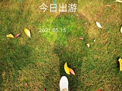 -重庆中央公园(渝北区)