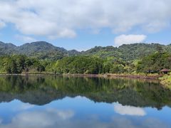 -海南热带雨林国家公园吊罗山景区