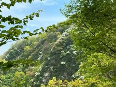 -少华山国家森林公园