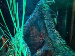 -沈阳海洋探索中心