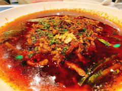 藤椒水煮牛肉-眉州东坡(上海中心店)