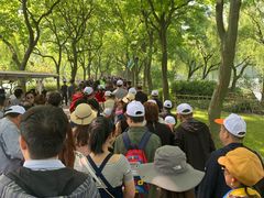 -西湖外事游船(花港观鱼码头)