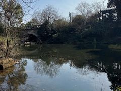 -杭州半山国家森林公园