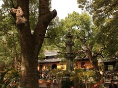 -普陀山风景名胜区-法雨禅寺