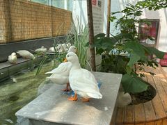 -洛阳龙门海洋馆