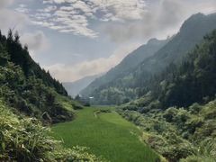 -重庆海昌加勒比海水世界